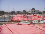 PICT0019